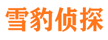 福建市侦探公司